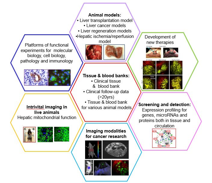 Synergism of the Research Platforms Synergism of the Research Platforms