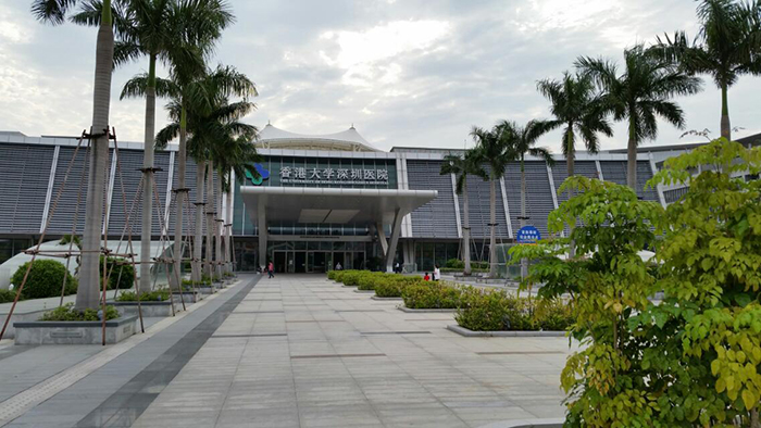 The University of Hong Kong - Shenzhen Hospital