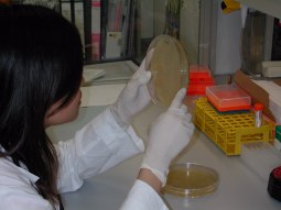Cell Biology (FOMB L9-45)