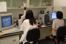 Immunology / Biochemistry (FOMB L9-50)