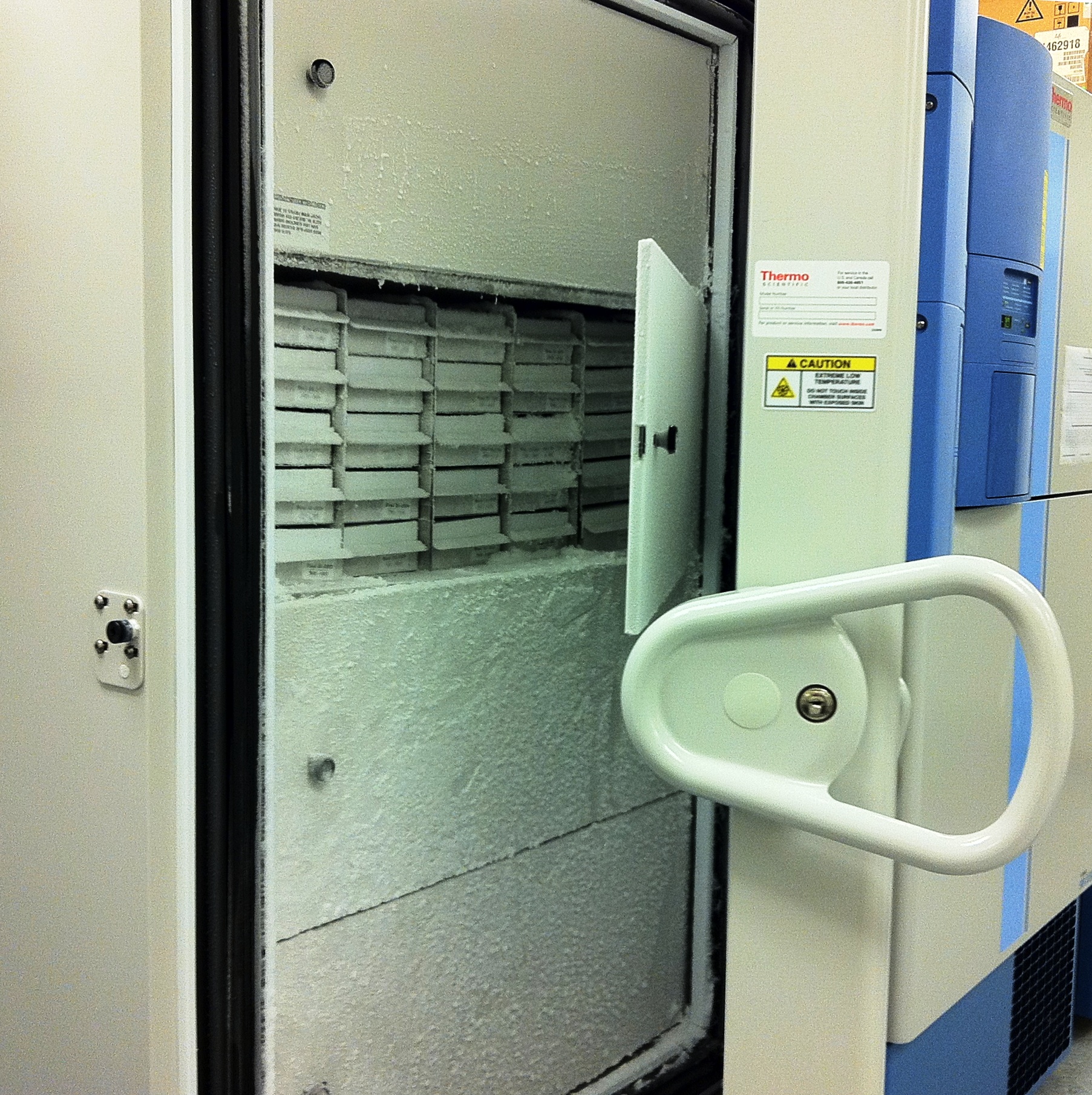Surgical Tissue Bank
