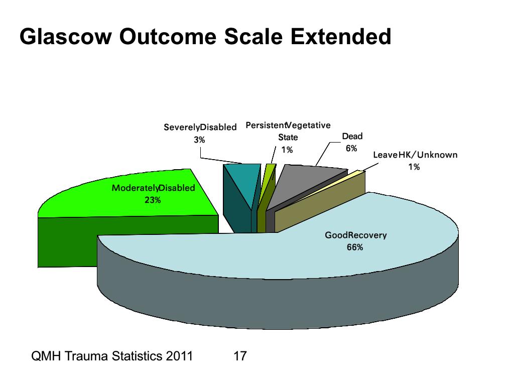 Queen Mary Hospital Trauma Statistics 2011